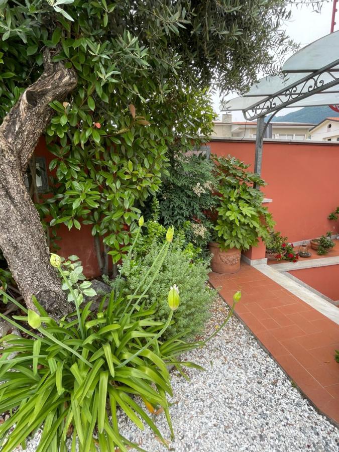 In Versilia Seravezza Exterior photo