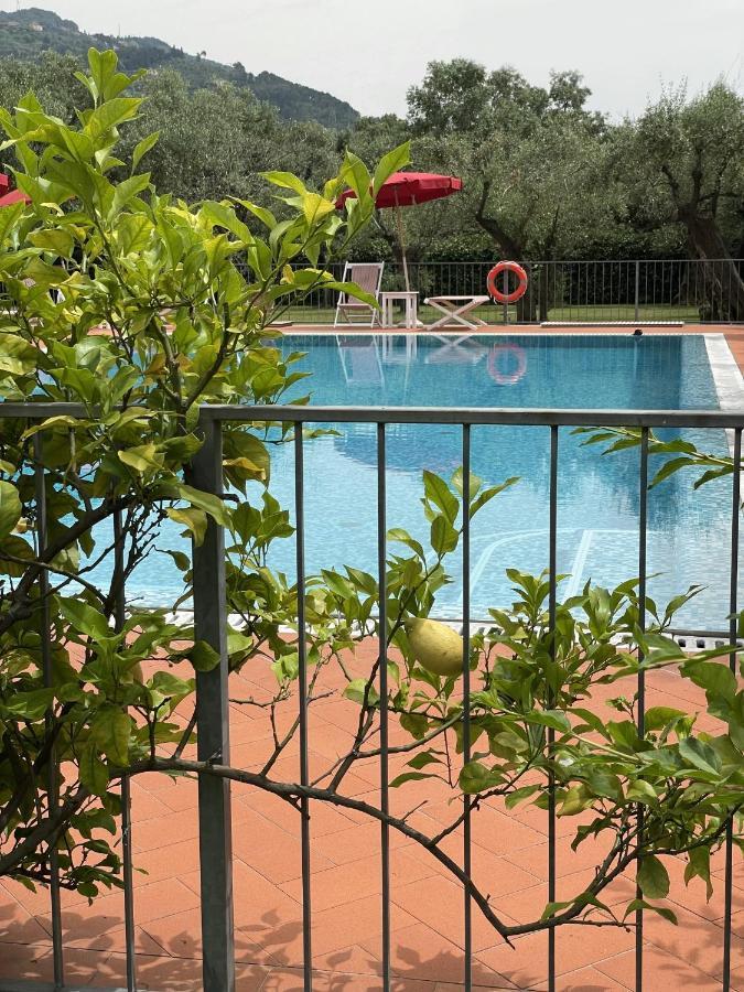 In Versilia Seravezza Exterior photo